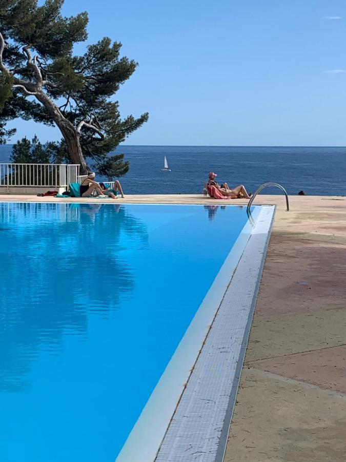 Horizon Bleu Bandol : Appartement Pieds Dans L'Eau 외부 사진