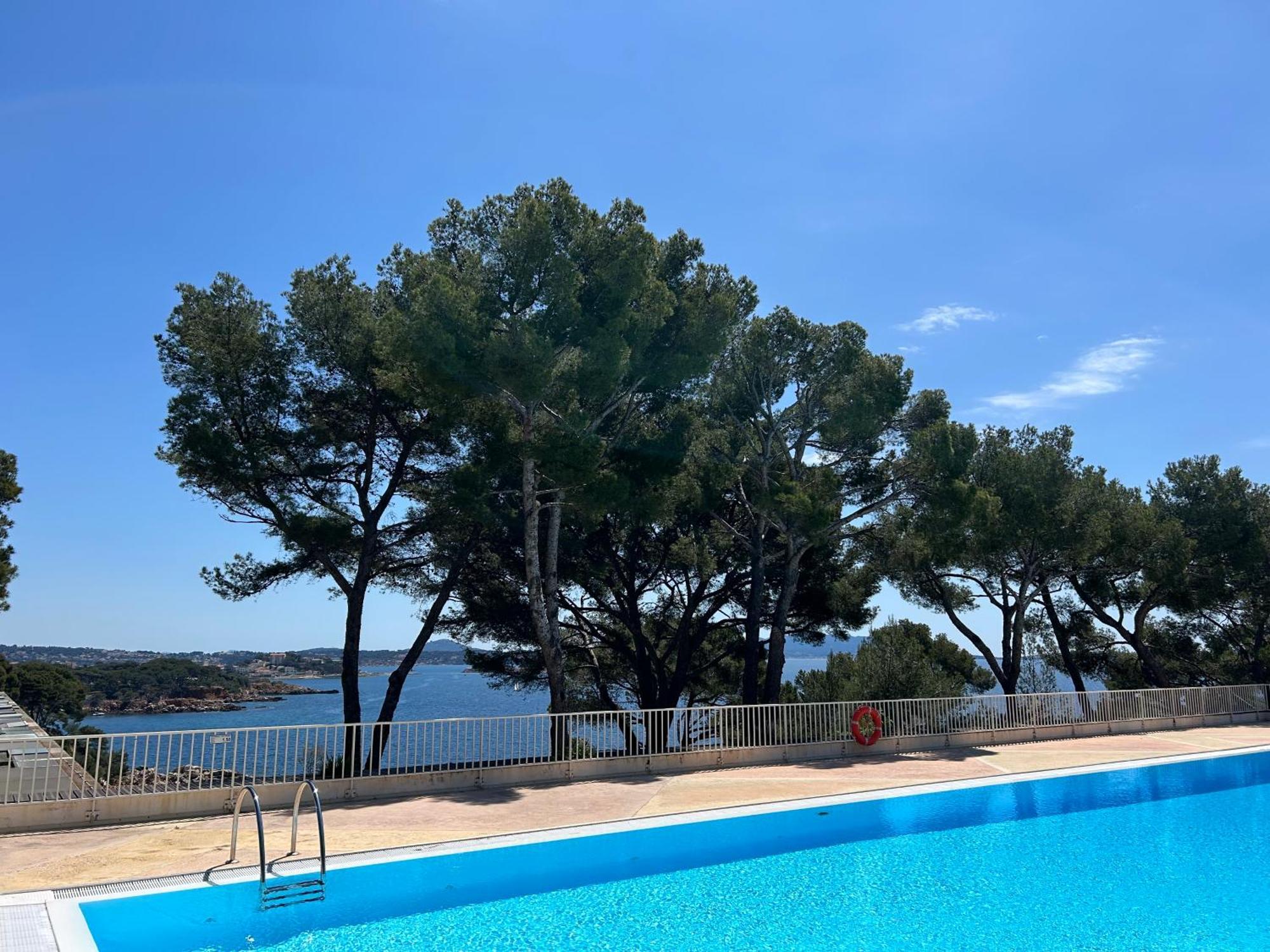 Horizon Bleu Bandol : Appartement Pieds Dans L'Eau 외부 사진